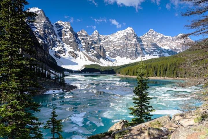 Beautiful Newly Reno 2Bdm 2 Bth Sleep Up To 6 Adults & Kids Mountain View Townhouse Suite Canmore Buitenkant foto