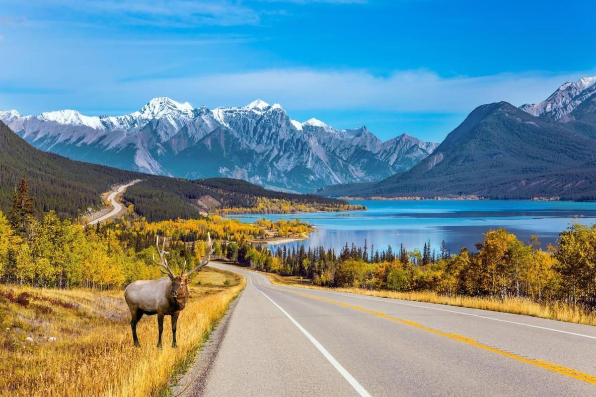 Beautiful Newly Reno 2Bdm 2 Bth Sleep Up To 6 Adults & Kids Mountain View Townhouse Suite Canmore Buitenkant foto